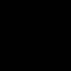 Meet your Posher, Loren